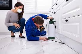 Best Bed Bug Extermination  in Sterlington, LA